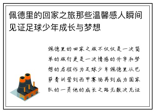 佩德里的回家之旅那些温馨感人瞬间见证足球少年成长与梦想