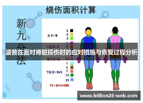 波普在面对肾脏损伤时的应对措施与恢复过程分析