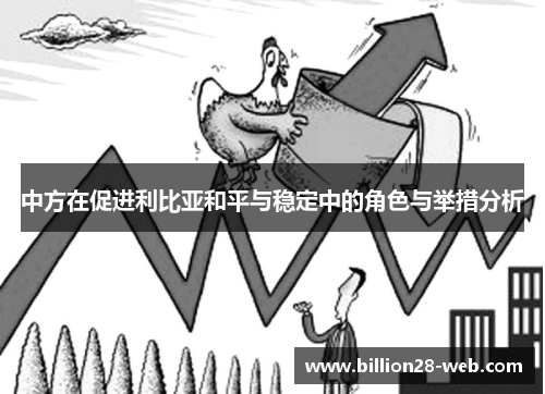 中方在促进利比亚和平与稳定中的角色与举措分析