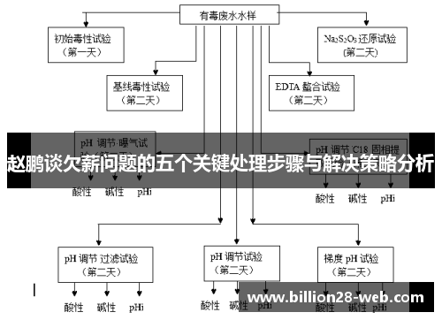 赵鹏谈欠薪问题的五个关键处理步骤与解决策略分析