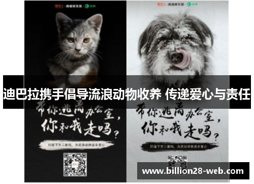 迪巴拉携手倡导流浪动物收养 传递爱心与责任